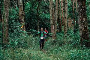 BIB: 
                            <button type="button" onclick="openModal(25237626)" class="btn btn-primary btn-sm float-right btn-popup" data-toggle="modal" data-target=".modal-high-quality">
                        <i class="fas fa-shopping-cart"></i> Add to Cart
                    </button>
                                            <button type="button" onclick="isThisMe(25237626, true)" class="btn btn-success btn-sm float-right btn-popup btn-isme hidden" data-toggle="tooltip" data-placement="bottom" title="นี่คือรูปของคุณใช่ไหม คลิกที่นี่เพื่อเอาเข้าอัลบั้ม">
                        <i class="fas fa-plus"></i> Add to album
                    </button>
                    <button type="button" onclick="isThisMe(25237626, false)" class="btn btn-warning btn-sm float-right btn-popup btn-isnotme hidden">
                        <i class="fas fa-ban"></i> Remove from album
                    </button>